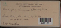 Image Associated With the Occurence